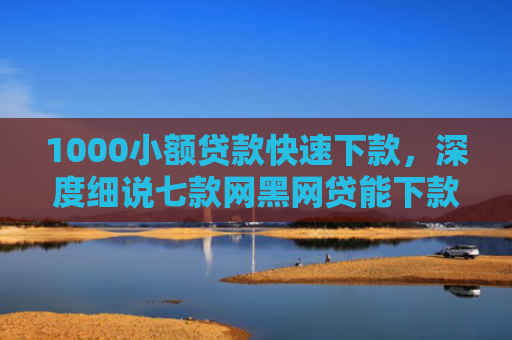 1000小额贷款快速下款，深度细说七款网黑网贷能下款的口子