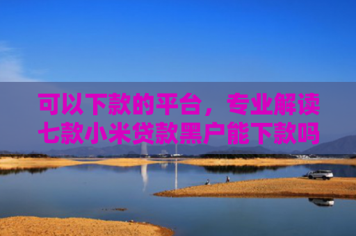 可以下款的平台，专业解读七款小米贷款黑户能下款吗