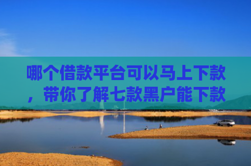 哪个借款平台可以马上下款，带你了解七款黑户能下款的小额贷款app