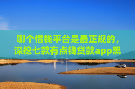 哪个借钱平台是最正规的，深挖七款有点钱贷款app黑户能下款吗