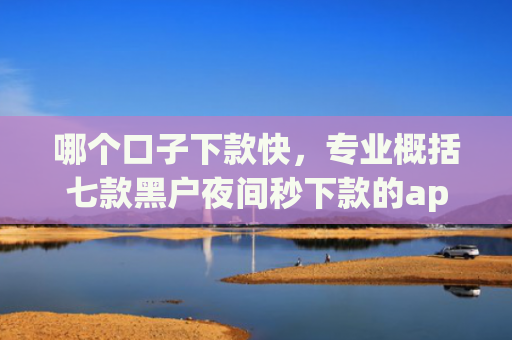 哪个口子下款快，专业概括七款黑户夜间秒下款的app竹叶贷