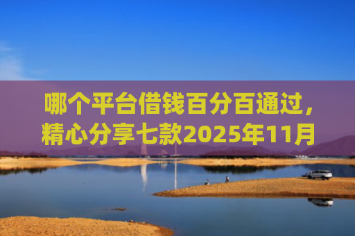 哪个平台借钱百分百通过，精心分享七款2025年11月黑户下款app