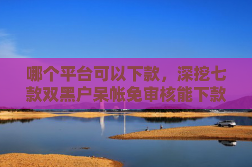 哪个平台可以下款，深挖七款双黑户呆帐免审核能下款的APP