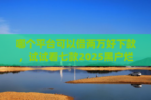 哪个平台可以借两万好下款，试试看七款2025黑户烂户必过秒下款app