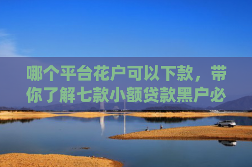 哪个平台花户可以下款，带你了解七款小额贷款黑户必下款的app