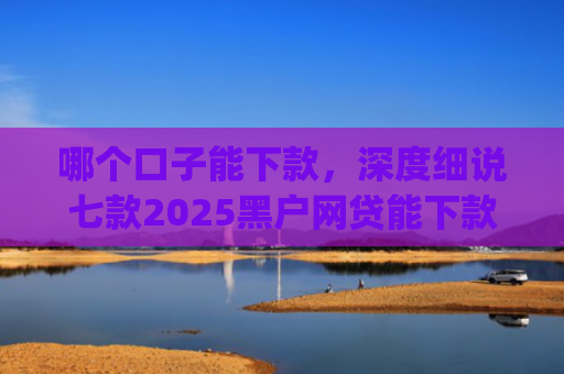 哪个口子能下款，深度细说七款2025黑户网贷能下款的app
