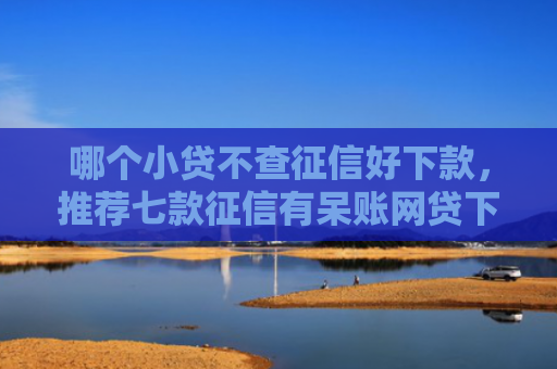 哪个小贷不查征信好下款，推荐七款征信有呆账网贷下款