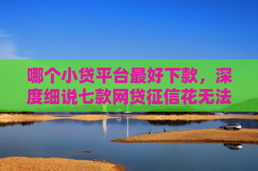 哪个小贷平台最好下款，深度细说七款网贷征信花无法下款