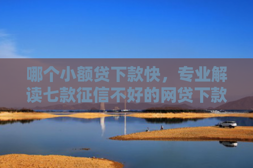 哪个小额贷下款快，专业解读七款征信不好的网贷下款