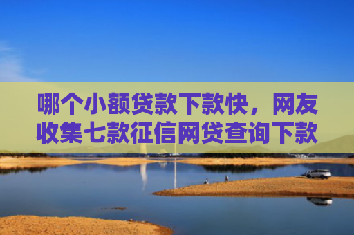 哪个小额贷款下款快，网友收集七款征信网贷查询下款率