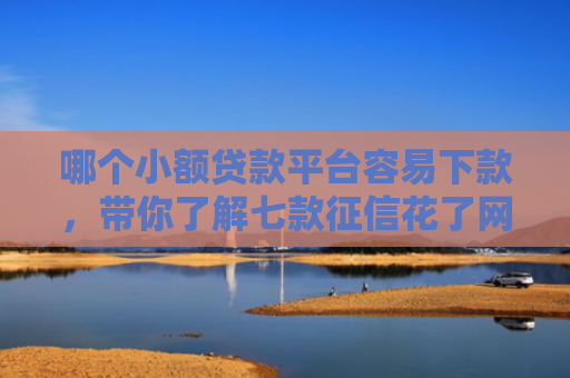 哪个小额贷款平台容易下款，带你了解七款征信花了网贷不给下款