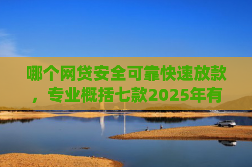 哪个网贷安全可靠快速放款，专业概括七款2025年有黑户下款的app吗