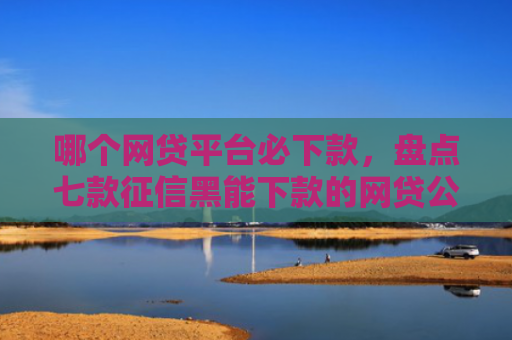 哪个网贷平台必下款，盘点七款征信黑能下款的网贷公司