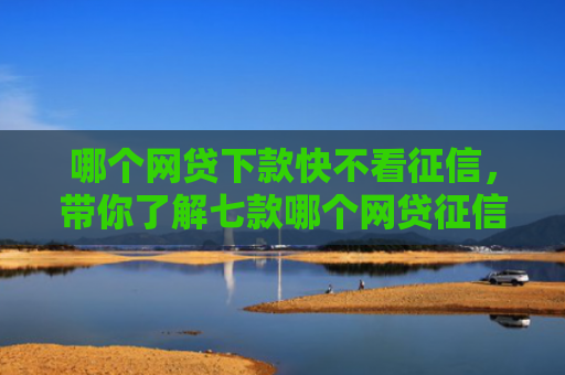 哪个网贷下款快不看征信，带你了解七款哪个网贷征信下款
