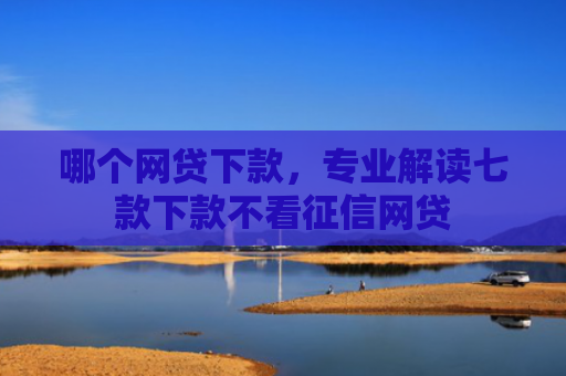 哪个网贷下款，专业解读七款下款不看征信网贷