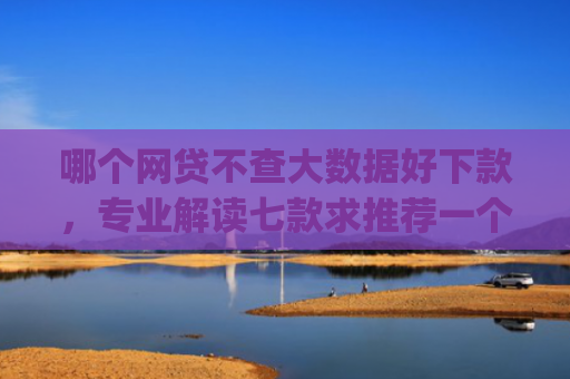 哪个网贷不查大数据好下款，专业解读七款求推荐一个黑户能下款的app
