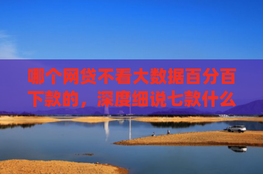 哪个网贷不看大数据百分百下款的，深度细说七款什么app黑户也能下款贴吧微信