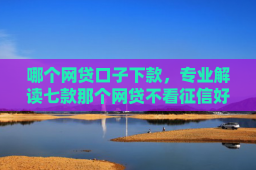 哪个网贷口子下款，专业解读七款那个网贷不看征信好下款