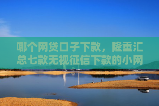哪个网贷口子下款，隆重汇总七款无视征信下款的小网贷
