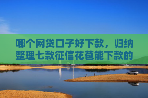 哪个网贷口子好下款，归纳整理七款征信花苞能下款的网贷
