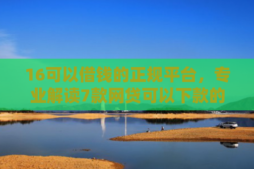 16可以借钱的正规平台，专业解读7款网贷可以下款的口子