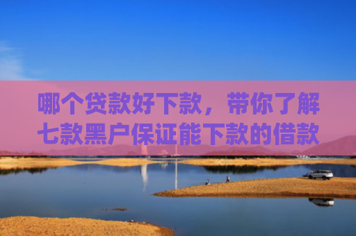 哪个贷款好下款，带你了解七款黑户保证能下款的借款app