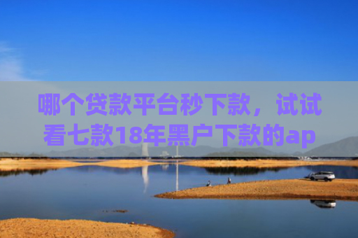 哪个贷款平台秒下款，试试看七款18年黑户下款的app
