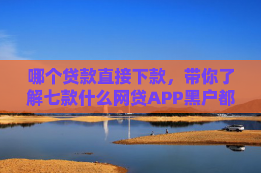 哪个贷款直接下款，带你了解七款什么网贷APP黑户都能下款