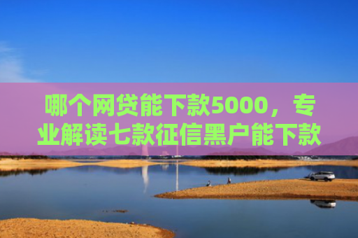 哪个网贷能下款5000，专业解读七款征信黑户能下款的网贷
