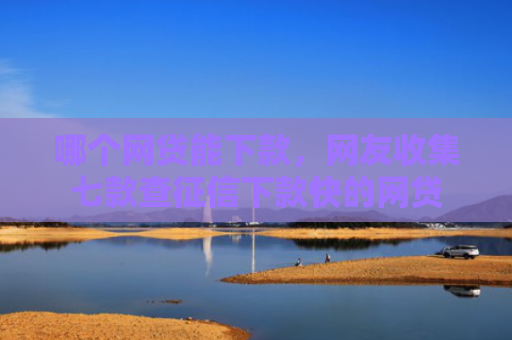 哪个网贷能下款，网友收集七款查征信下款快的网贷