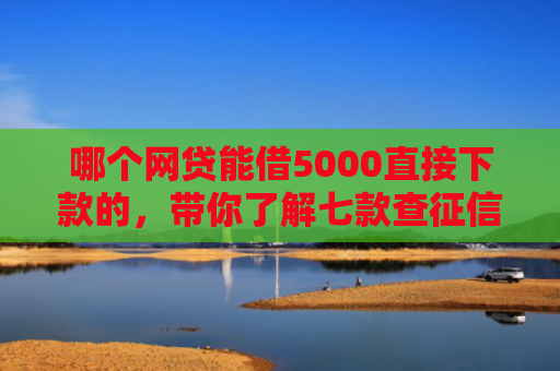 哪个网贷能借5000直接下款的，带你了解七款查征信就下款的网贷
