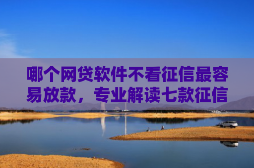 哪个网贷软件不看征信最容易放款，专业解读七款征信很花也能下款的网贷