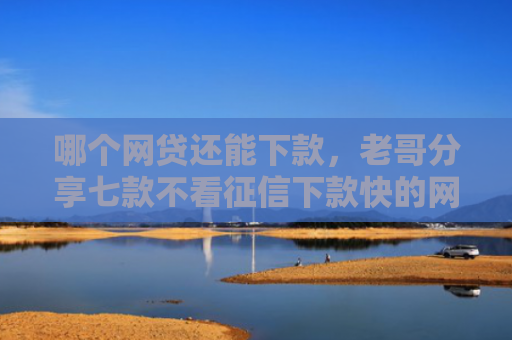 哪个网贷还能下款，老哥分享七款不看征信下款快的网贷