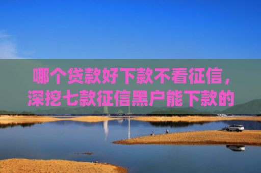 哪个贷款好下款不看征信，深挖七款征信黑户能下款的app