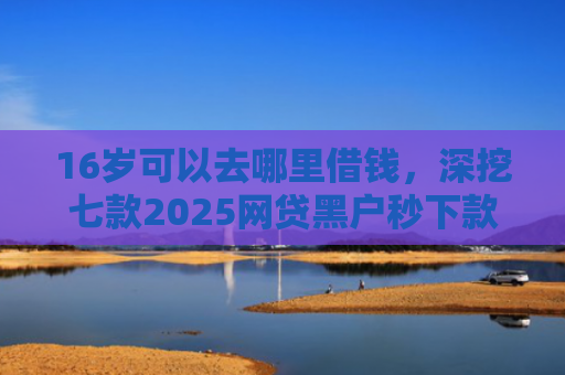16岁可以去哪里借钱，深挖七款2025网贷黑户秒下款的口子