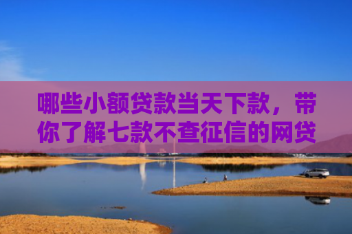 哪些小额贷款当天下款，带你了解七款不查征信的网贷易下款
