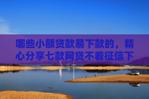 哪些小额贷款易下款的，精心分享七款网贷不看征信下款的软件