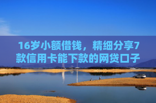 16岁小额借钱，精细分享7款信用卡能下款的网贷口子