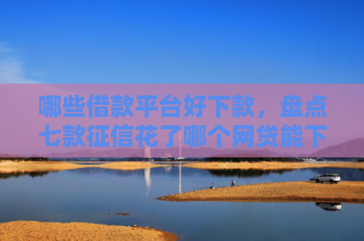 哪些借款平台好下款，盘点七款征信花了哪个网贷能下款