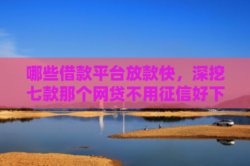 哪些借款平台放款快，深挖七款那个网贷不用征信好下款