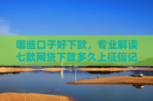 哪些口子好下款，专业解读七款网贷下款多久上征信记录