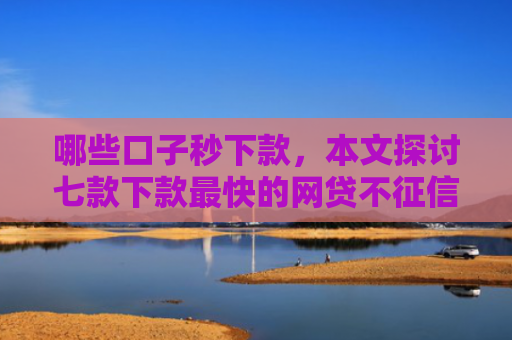 哪些口子秒下款，本文探讨七款下款最快的网贷不征信