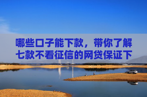 哪些口子能下款，带你了解七款不看征信的网贷保证下款