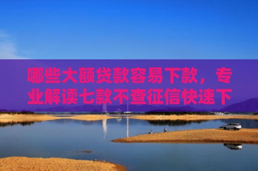 哪些大额贷款容易下款，专业解读七款不查征信快速下款的网贷