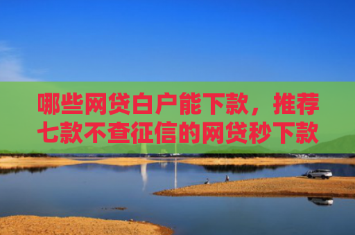 哪些网贷白户能下款，推荐七款不查征信的网贷秒下款