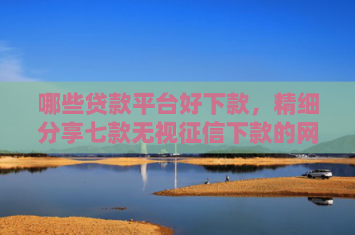 哪些贷款平台好下款，精细分享七款无视征信下款的网贷平台