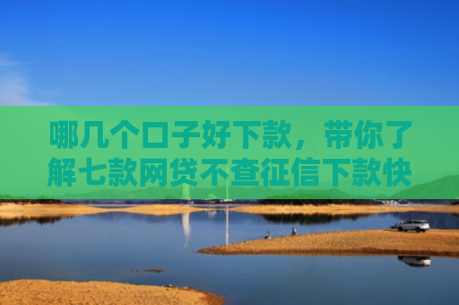 哪几个口子好下款，带你了解七款网贷不查征信下款快