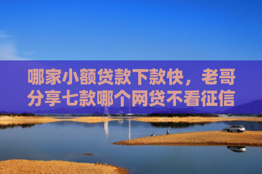哪家小额贷款下款快，老哥分享七款哪个网贷不看征信下款