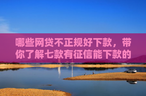 哪些网贷不正规好下款，带你了解七款有征信能下款的网贷