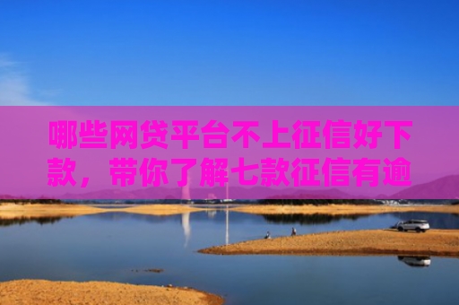 哪些网贷平台不上征信好下款，带你了解七款征信有逾期网贷不下款
